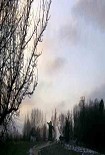 Читать книгу Музыканты