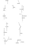 Читать книгу Иероглифы