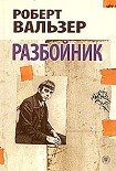 Читать книгу Разбойник