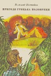 Читать книгу Пригоди Грицька Половинки