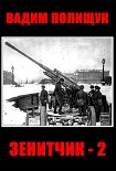 Читать книгу Зенитчик-2