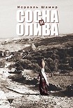 Читать книгу Сосна и олива или Неприметные прелести Святой Земли