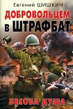 Читать книгу Добровольцем в штрафбат. Бесова душа
