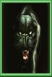 Читать книгу Кошкин дом
