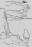 Читать книгу Тревожный берег