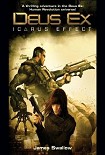 Читать книгу Icarus Effect