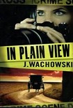 Читать книгу In Plain View