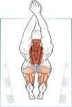 Читать книгу Swimming Anatomy