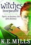 Читать книгу Witches incorporated