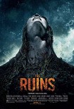 Читать книгу The Ruins