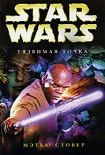 Читать книгу Star Wars: Уязвимая точка