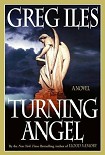 Читати книгу Turning Angel