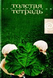 Читать книгу Толстая тетрадь