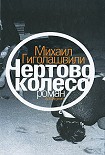 Читать книгу Чертово колесо
