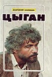 Читать книгу Цыган