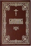 Читать книгу Канонник (цсл)