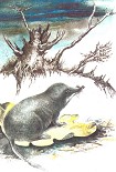 Читать книгу Зверек с хоботком