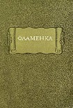 Читать книгу Фламенка