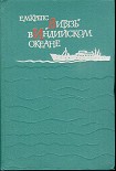 Читать книгу «Витязь» в Индийском океане