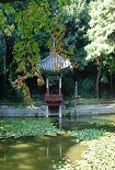 Читать книгу Письмо от бабочки Брэдбери