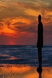 Читать книгу Запах моря