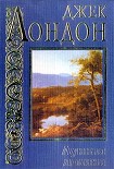 Читать книгу Лунная долина
