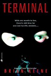 Читать книгу Terminal