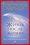 Читать книгу Жизнь после жизни