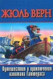 Читать книгу Путешествие и приключения капитана Гаттераса