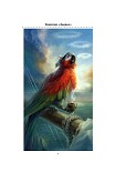 Читать книгу Капитан «Дьявол». История пирата (часть первая)