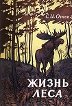 Читать книгу Жизнь леса