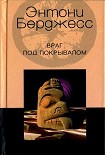 Читать книгу Враг под покрывалом