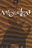 Читать книгу Многобукаф. Книга для