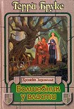 Читать книгу Волшебник у власти