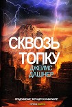 Читать книгу Сквозь Топку