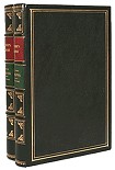 Читать книгу Дон-Кихот Ламанчский. Часть 2