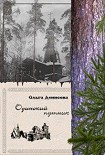 Читать книгу Одинокий путник