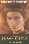 Читать книгу Душа Сурака