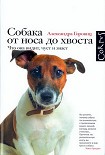 Читать книгу Собака от носа до хвоста. Что она видит, чует и знает