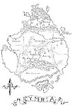 Читать книгу The Shadow's heir