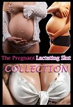 Читать книгу The Pregnant Lactating Slut
