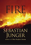 Читать книгу Fire