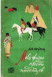 Читать книгу Моя жизнь среди индейцев