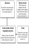 Читать книгу Принципы эффективного питания