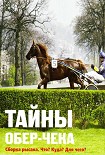 Читать книгу Тайны обер-чека. Сборка рысака. Что? Куда? Для чего?