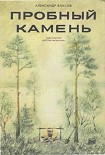 Читать книгу Пробный камень