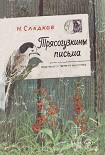 Читать книгу Трясогузкины письма