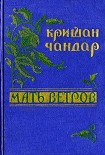 Читать книгу Веранда