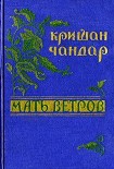 Читать книгу Иранский плов