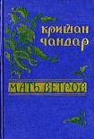 Читать книгу Под сводами моста